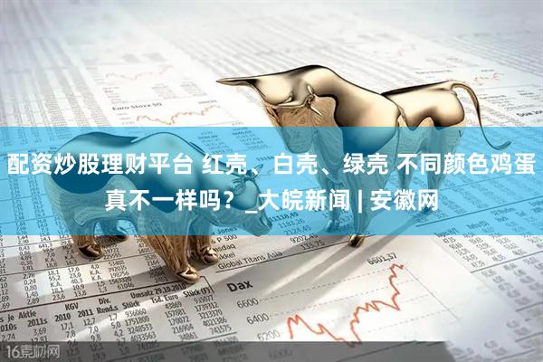 配资炒股理财平台 红壳、白壳、绿壳 不同颜色鸡蛋真不一样吗？_大皖新闻 | 安徽网