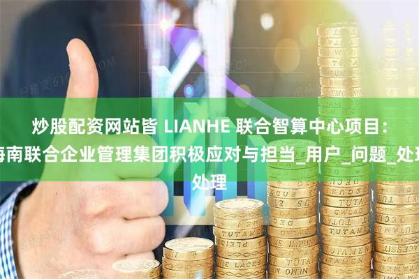 炒股配资网站皆 LIANHE 联合智算中心项目：海南联合企业管理集团积极应对与担当_用户_问题_处理